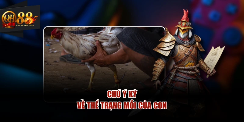 Chú ý kỹ về thể trạng mỗi của con