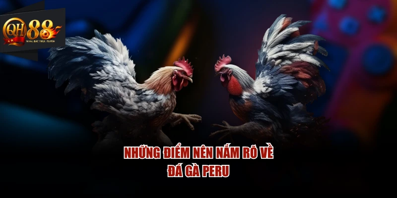 Những điểm nên nắm rõ về đá gà Peru
