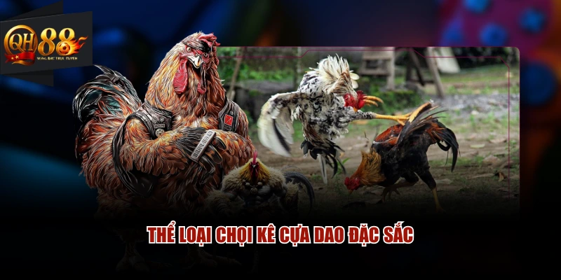 Thể loại chọi kê cựa dao đặc sắc