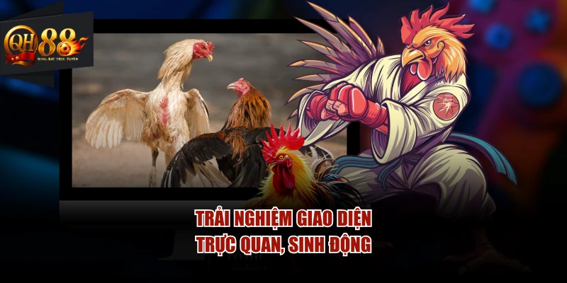 Trải nghiệm giao diện trực quan, sinh động